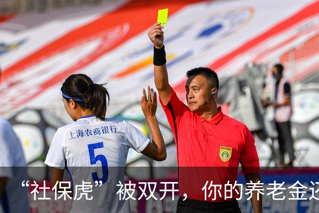“社保虎”被双开，你的养老金还好吗？
