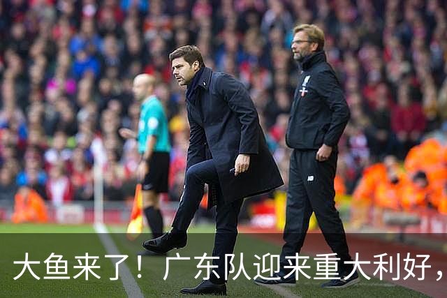 大鱼来了！广东队迎来重大利好，NBA全明星内线驰援亚帅？